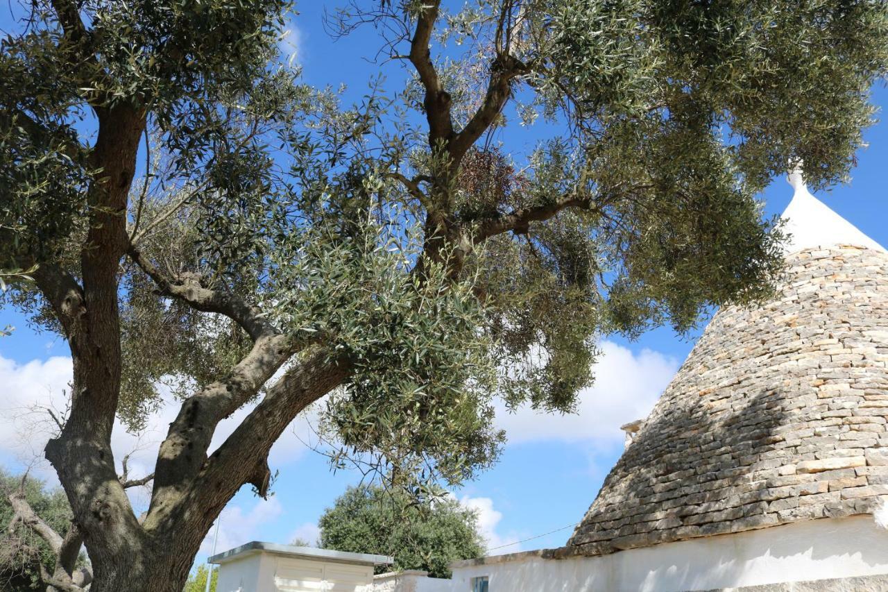 Trulli Alla Controra Conversano Zewnętrze zdjęcie